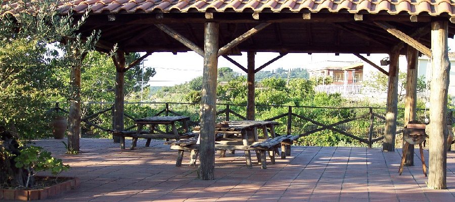 Css Template Preview